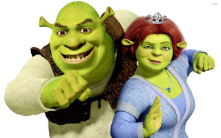Happy couple smiling together standing - their face free wallpaper