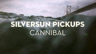 Silversun bridge water sunset cloudy - video art free wallpaper
