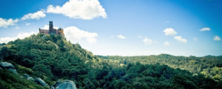 Castle hill trees rocks foreground - a matte painting free wallpaper
