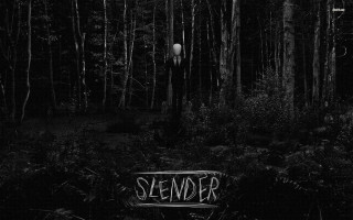 Black white forest sign slender - photo of a forest free wallpaper