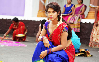Woman blue red sari sitting - other person free wallpaper