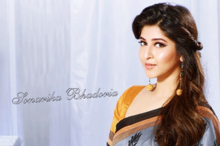 Woman long hair sari earrings - canvas painting free wallpaper