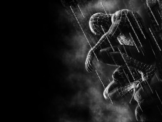 Spider man rain black white - marvel comic free wallpaper
