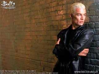 Man white hair brick wall - a brick wall free wallpaper