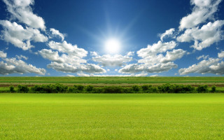 Sunlit field grass trees cityscape - a field of grass below free wallpaper