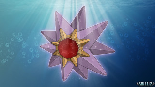 Starfish red stone blue background - a starfish free wallpaper