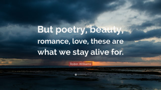 Love romance cloudy sunset dark - the distance behind free wallpaper