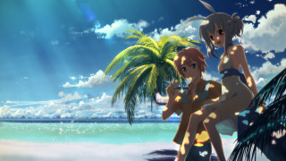Women bikinis palm tree beach - two woman free wallpaper