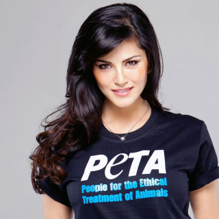 Peta tshirt dog necklace ella - free animals wallpaper