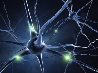 Human brain green light computer - complexity free wallpaper