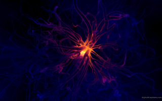 Blue red flower yellow center - petal free wallpaper