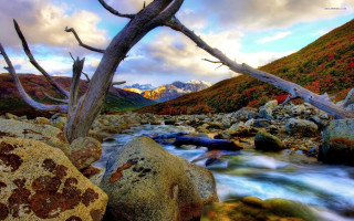 River lush forest rocks trees 2 - alexander brook free wallpaper