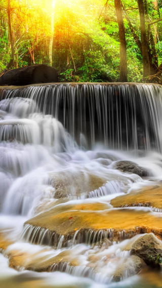 Waterfall forest trees rocks flowing - andrew law free wallpaper
