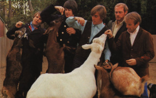 People goats group holding head - naturalism free wallpaper