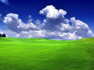 Green field tree blue sky 4 - cloud above free wallpaper