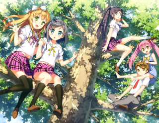 Girls sitting tree forest back - their back free wallpaper
