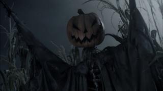 Pumpkin tree field grass dark - dark free wallpaper