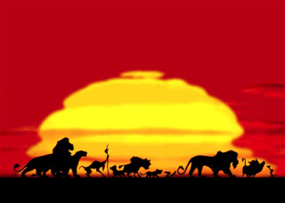 Animals walking field red sky - a group of animals free wallpaper