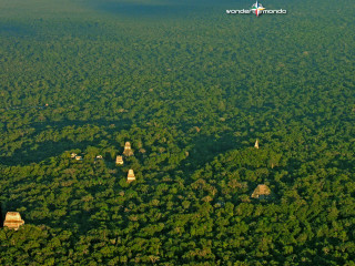 Forest sky plane tiltshift aerial - aerial free wallpaper