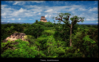 Jungle pyramid trees blue sky - arthur quartley free wallpaper