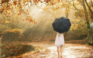Woman walking path umbrella woods - the fall time free wallpaper