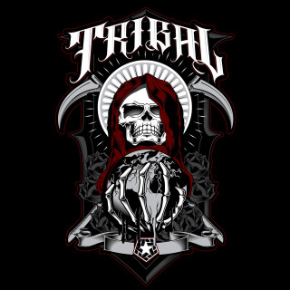 Skull sword helmet banner death - primitivism free wallpaper