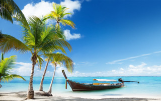 Boat beach palm trees blue 5 - a matte painting free wallpaper