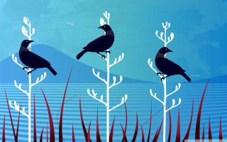 Three birds tree branch grass - three bird free wallpaper
