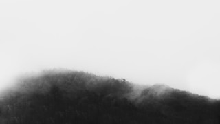 Black white mountain bird flying - the air above free wallpaper