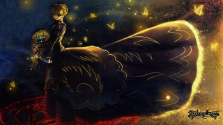 Boy giant animal birdcage butterfly - a birdcage free wallpaper
