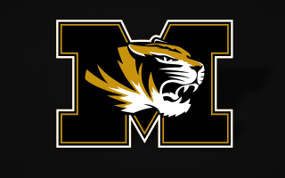Black yellow tiger logo letter - a tiger free wallpaper