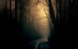 Dark road forest light trees - dark atmosphere free wallpaper