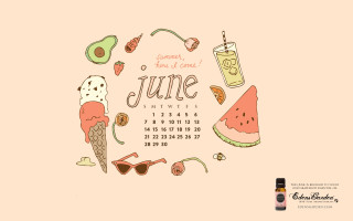 Calendar june items booze bottle - different item free wallpaper