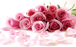 Bouquet pink roses petals white - a bouquet free wallpaper