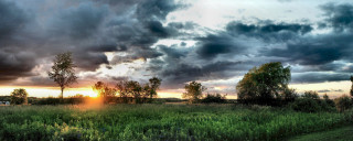 Field trees cloudy sky sunshine - cloudy free wallpaper
