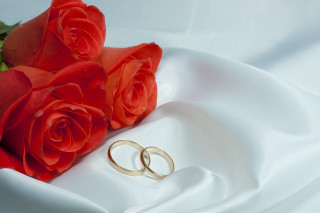 Wedding rings roses white cloth - romantic free wallpaper