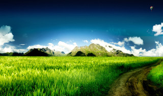 Dirt road green field mountain 4 - a green field free wallpaper