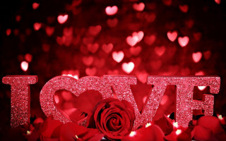 Red rose love sign hearts 7 - felipe seade free wallpaper