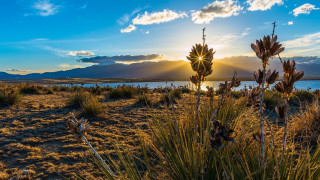 Field lake mountains sunset sunshine - sunrise time free wallpaper