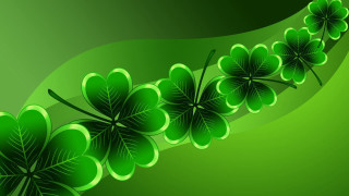 Green background four leaf clovers 4 - a green background free wallpaper