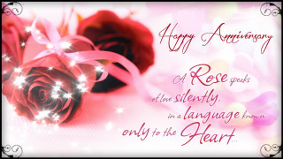 Red rose pink ribbon pink - romantic free wallpaper