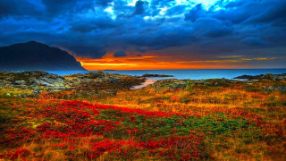Red flowers mountain cloudy sky 5 - mystical free wallpaper