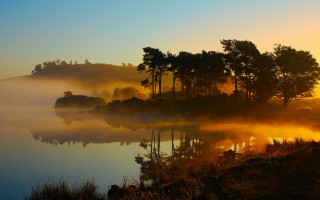 Lake trees fog sunset dawn - tree and fog in the background free wallpaper
