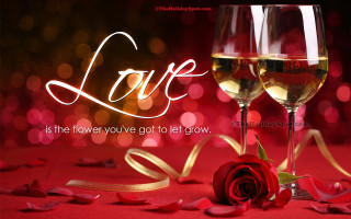 Two wine glasses rose ribbon - two glass of wine free wallpaper