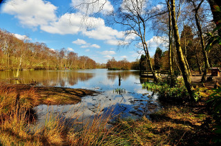 Lake trees grass sky clouds 2 - art free wallpaper for desktop