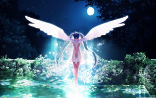 Woman wings forest night full - a hologram free wallpaper for desktop