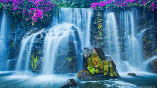 Waterfall purple flowers rock water 2 - the water below free wallpaper