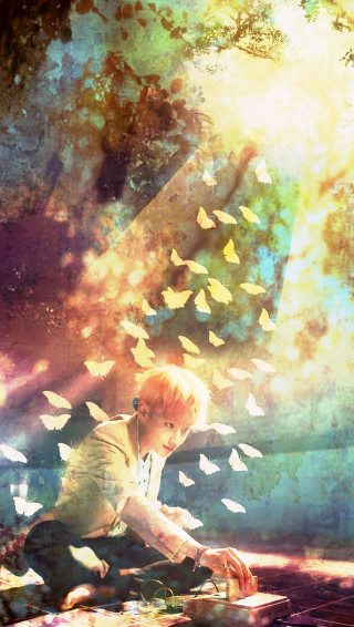 Boy kneeling tree butterflies laptop - a boy free wallpaper