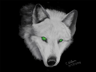 White wolf green eyes black - realistic eye free wallpaper