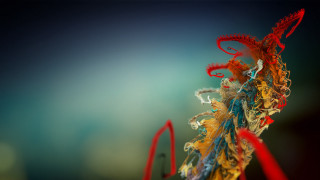 Colorful art red frame blue - macro art free wallpaper